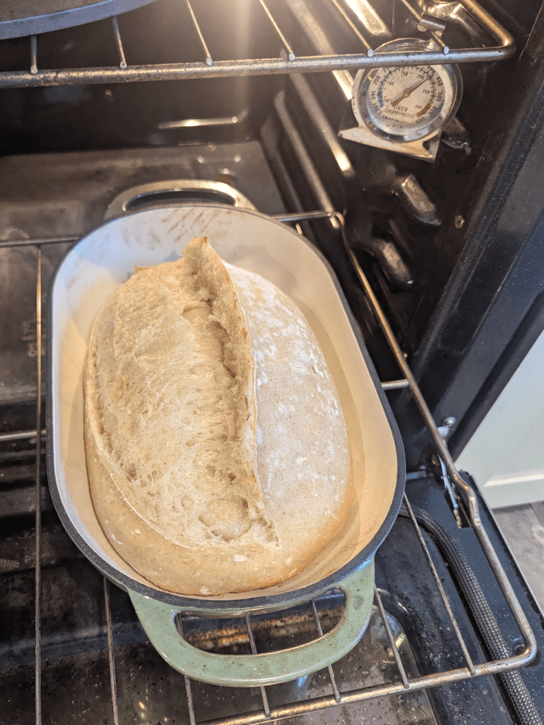 73% Loaf after 20 minutes closed bake